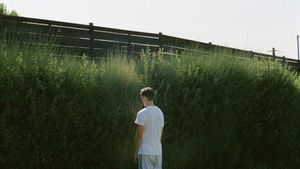 Dogtooth's poster