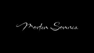Morten Somnia's poster