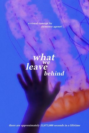 What We Leave Behind's poster