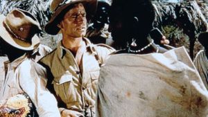 Ivory Hunter's poster