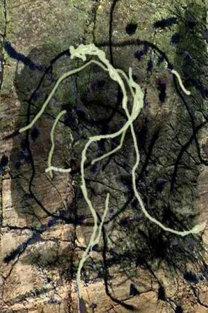Thunder river (Places and Monuments 4)'s poster