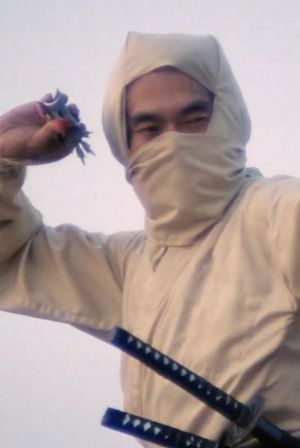 Re-Enter the New York Ninja's poster