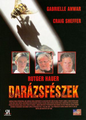 Hornets' Nest's poster
