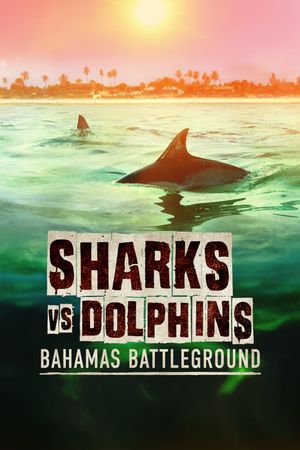 Sharks vs Dolphins: Bahamas Battleground's poster
