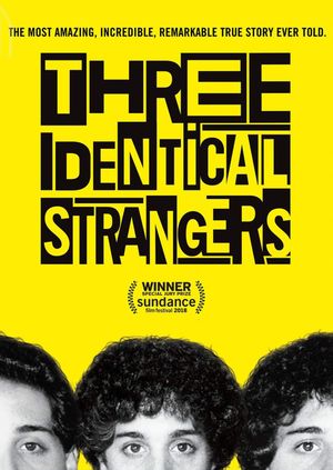 Three Identical Strangers's poster