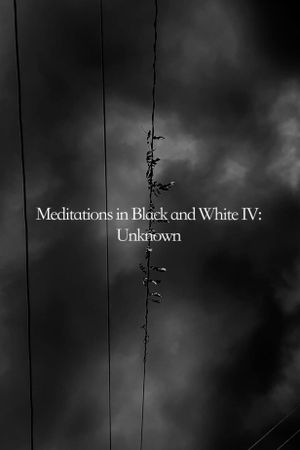 Meditations in Black and White IV: Unknown's poster