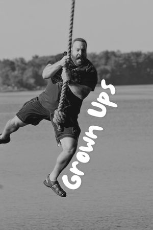 Grown Ups's poster
