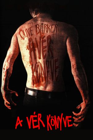 The Black Spider's poster