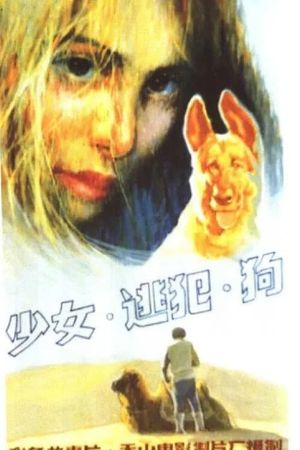 少女、逃犯、狗's poster
