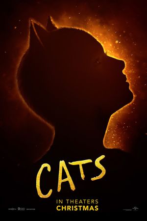Cats's poster