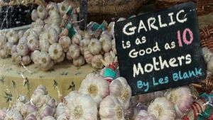 Garlic Is as Good as Ten Mothers's poster