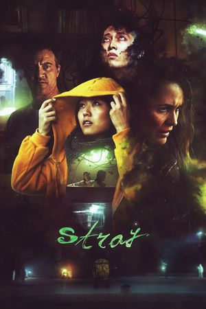 Stray's poster