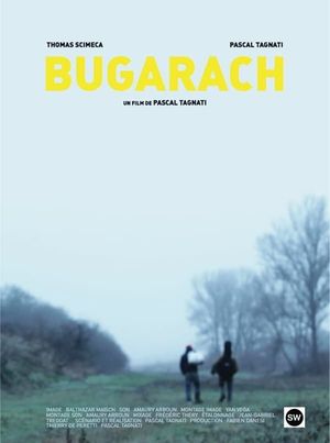 Bugarach's poster