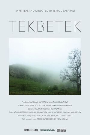 Tekbetek's poster image