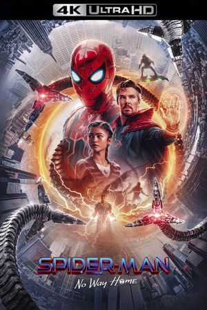 Spider-Man: No Way Home's poster