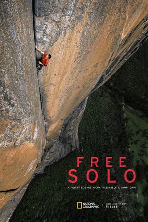 Free Solo's poster