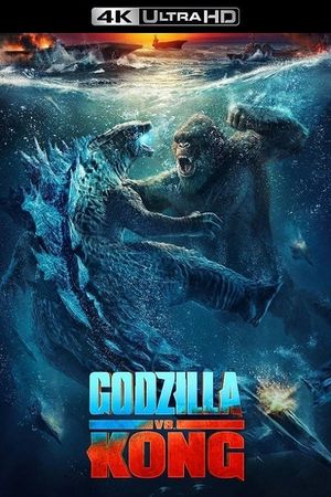 Godzilla vs. Kong's poster