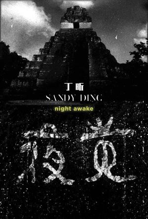 Night Awake's poster