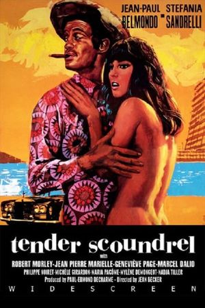 Tender Scoundrel's poster