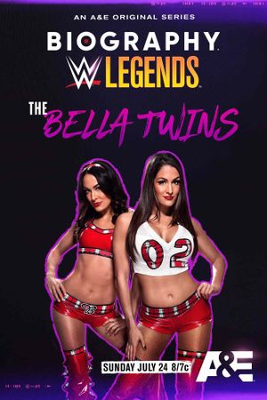 Biography: The Bella Twins's poster