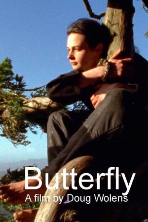 Butterfly's poster image