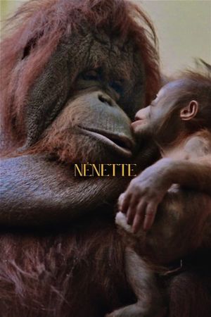 Nénette's poster