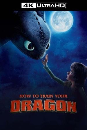 How to Train Your Dragon's poster