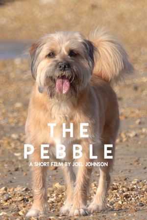 The Pebble's poster
