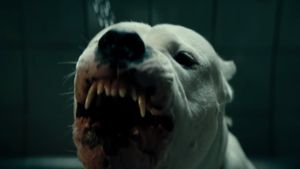 Dogman's poster