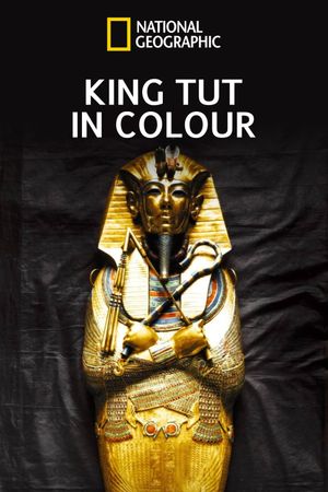 King Tut In Color's poster