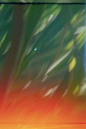 The Floating Gardens's poster