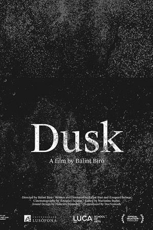 Dusk's poster