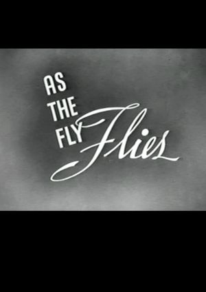 As the Fly Flies's poster