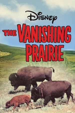 The Vanishing Prairie's poster