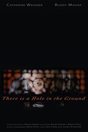 There is a Hole in the Ground's poster