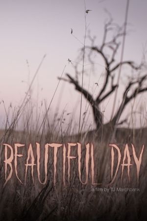 Beautiful Day's poster