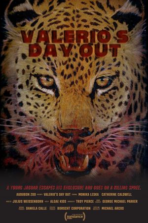 Valerio's Day Out's poster