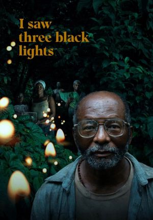 I Saw Three Black Lights's poster