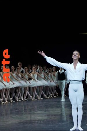 Être noir à l'Opéra's poster
