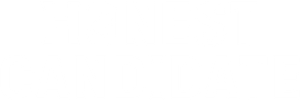 Honest Candidate's poster