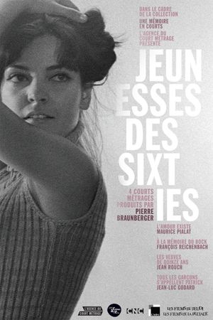 The Fifteen-Year-Old Widows's poster