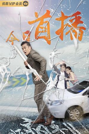 顺疯车2's poster
