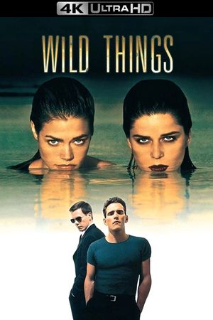 Wild Things's poster