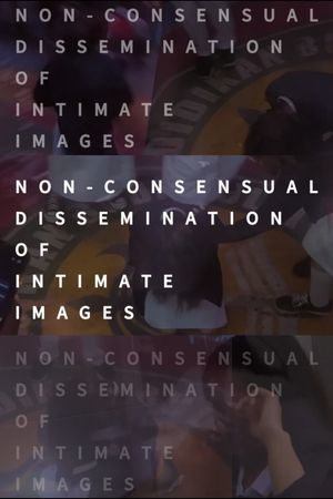 Non-consensual Dissemination of Intimate Images's poster