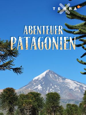 Abenteuer Patagonien's poster