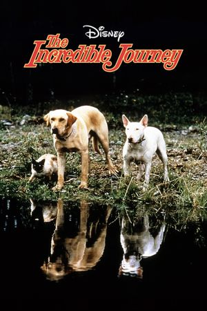 The Incredible Journey's poster