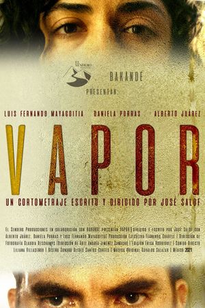 Vapor's poster