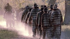 Convicts's poster