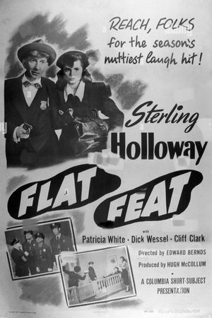 Flat Feat's poster image