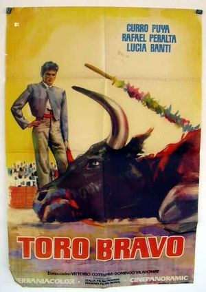 Toro bravo's poster